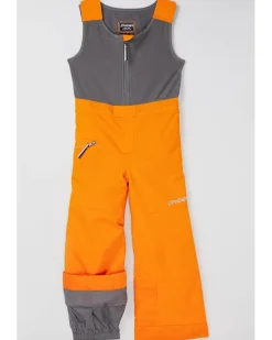 Spyder Kids Expedition Pants (Toddler/Little Kid)