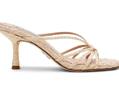 Steve Madden Edna Women's