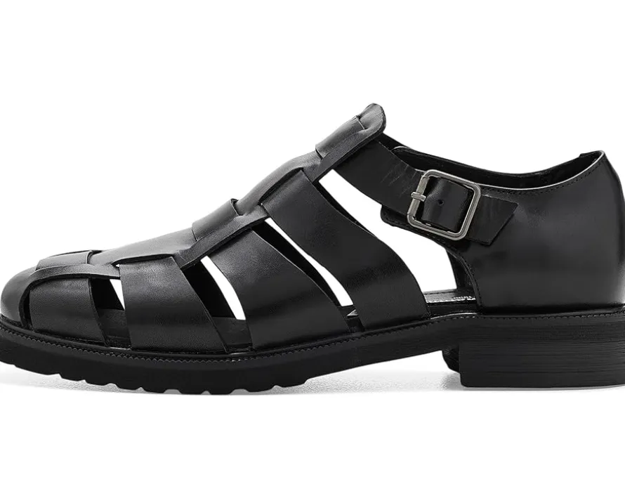 Steve Madden Havana Men's