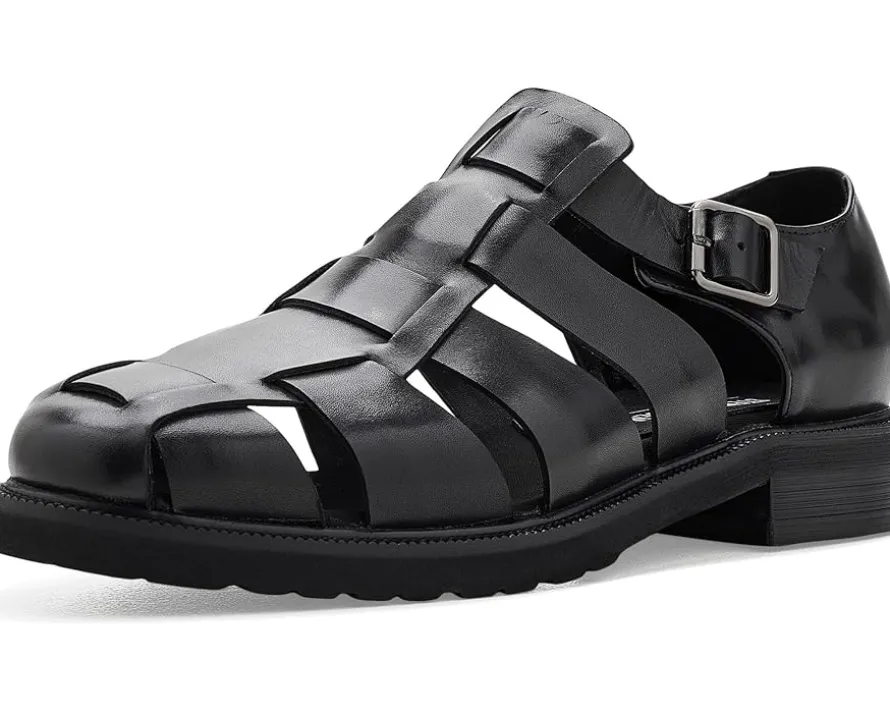 Steve Madden Havana Men's