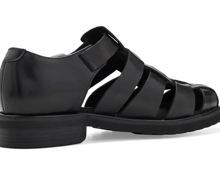 Steve Madden Havana Men's