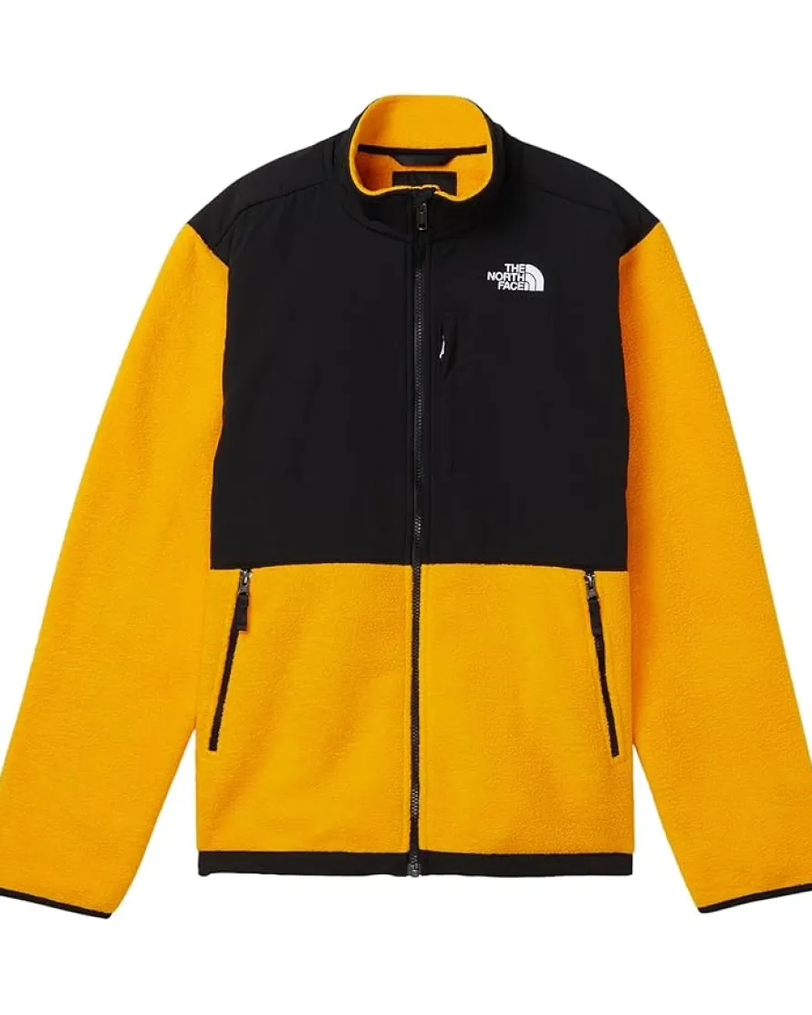 The North Face Kids Denali Jacket (Little Kid/Big Kid)