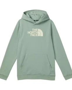 The North Face Kids Evolution Half Dome Pullover Hoodie (Little Kid/Big Kid)