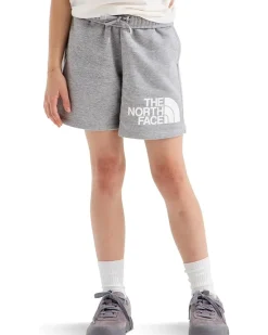 The North Face Kids Evolution Half Dome 5" Shorts (Little Kid/Big Kid)