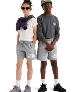 The North Face Kids Evolution Half Dome 5" Shorts (Little Kid/Big Kid)