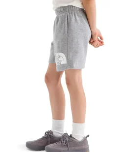 The North Face Kids Evolution Half Dome 5