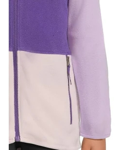 The North Face Kids Glacier Full Zip Hoodie (Toddler)