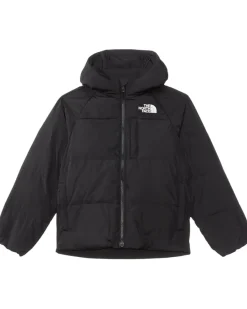 The North Face Kids North Down Hooded Jacket (Little Kid/Big Kid)