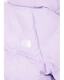 The North Face Kids North Down Fleece-Lined Parka (Toddler)