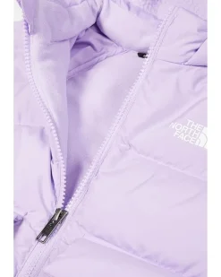 The North Face Kids North Down Fleece-Lined Parka (Toddler)