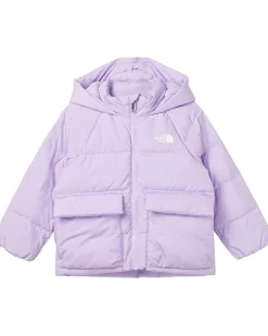 The North Face Kids North Down Fleece-Lined Parka (Toddler)