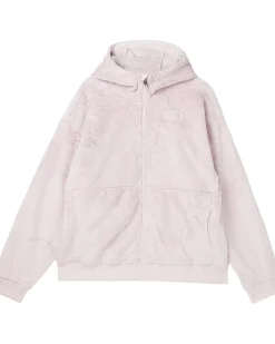 The North Face Kids Osito Full Zip Hoodie (Little Kid/Big Kid)