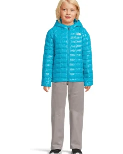 The North Face Kids ThermoBall Hooded Jacket (Toddler)