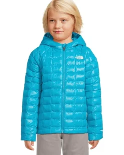 The North Face Kids ThermoBall Hooded Jacket (Toddler)
