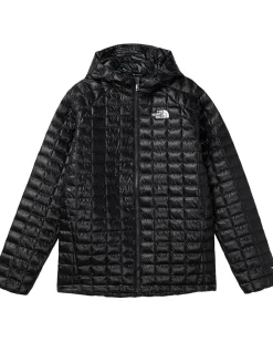 The North Face Kids THERMOBALL Hooded Jacket (Little Kid/Big Kid)