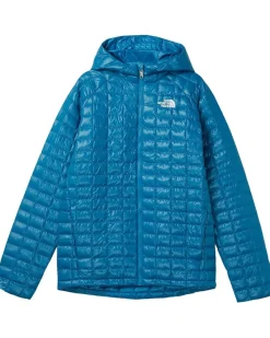 The North Face Kids THERMOBALL Hooded Jacket (Little Kid/Big Kid)
