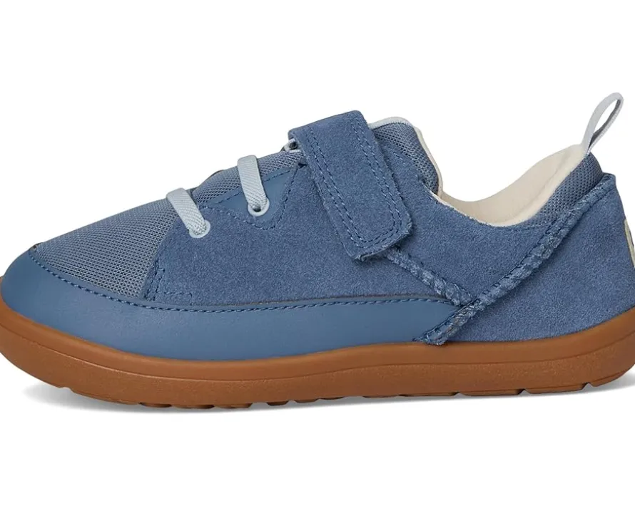 UGG Kids Adventurer Sneaker (Toddler/Little Kid)