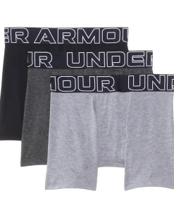 Under Armour Kids Boxer Brief Underwear (Big Kid)