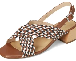 Vaneli Cadmus Women's