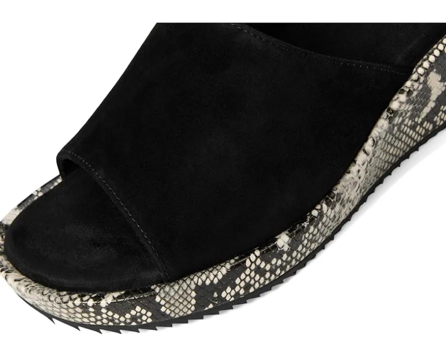 Vaneli Calla Women's