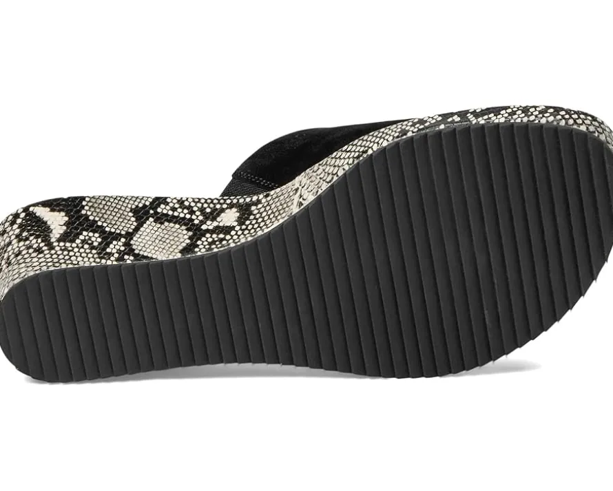Vaneli Calla Women's