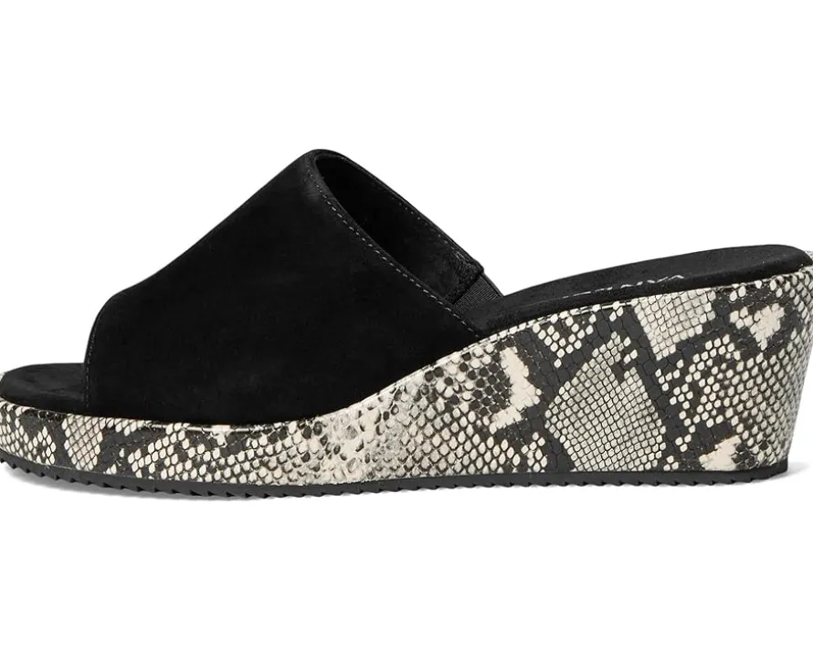 Vaneli Calla Women's