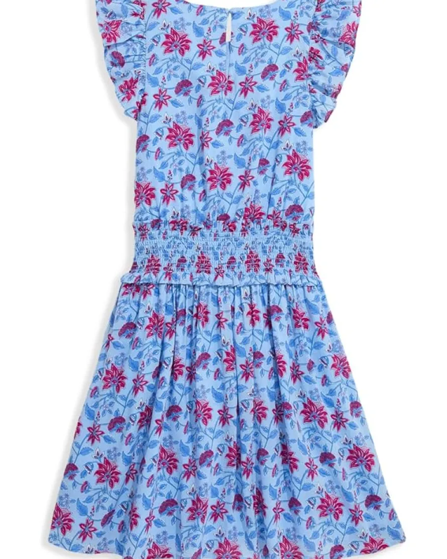 Vineyard Vines Kids Delia Dress (Toddler/Little Kid/Big Kid)